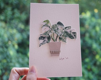 Paper Monstera Borsigiana Albo, Father's Day Gift, Hand-cut Paper Plant For Modern Apartment, Small Handmade Craft