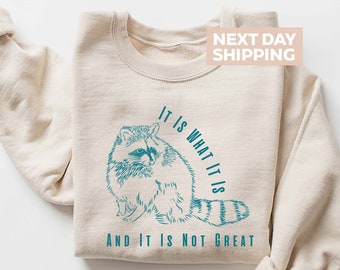 It Is What It Is And It Is Not Great Sweatshirt, Raccoon Lovers Sweater, Funny Raccoon Gifts, Raccoon Meme, Sarcastic Sweater, Mental Shirt