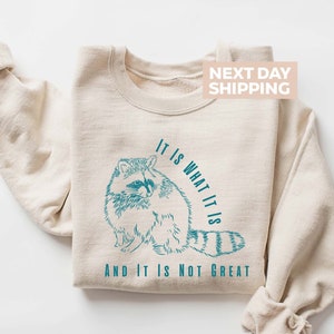 It Is What It Is And It Is Not Great Sweatshirt, Raccoon Lovers Sweater, Funny Raccoon Gifts, Raccoon Meme, Sarcastic Sweater, Mental Shirt