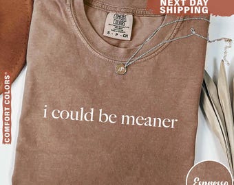 Comfort Colors® I Could Be Meaner Shirt, Funny Humor Shirt, Sarcastic Shirt, Funny Quote Shirt, Sarcasm Shirt, Trendy Shirt for Women