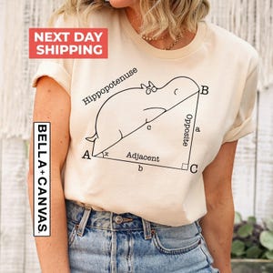 Funny Math T Shirt, Math Teachers Tshirt, Geometry Nerd Gift, Teacher Shirt, Geometry Teacher Gift, Funny Hippopotenuse T Shirt