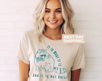 It Is What It Is And It Is Not Great T-Shirt, Raccoon Lovers, Funny Raccoon Gifts, Raccoon Meme Tee, Sarcastic Shirt, Mental Health Shirt
