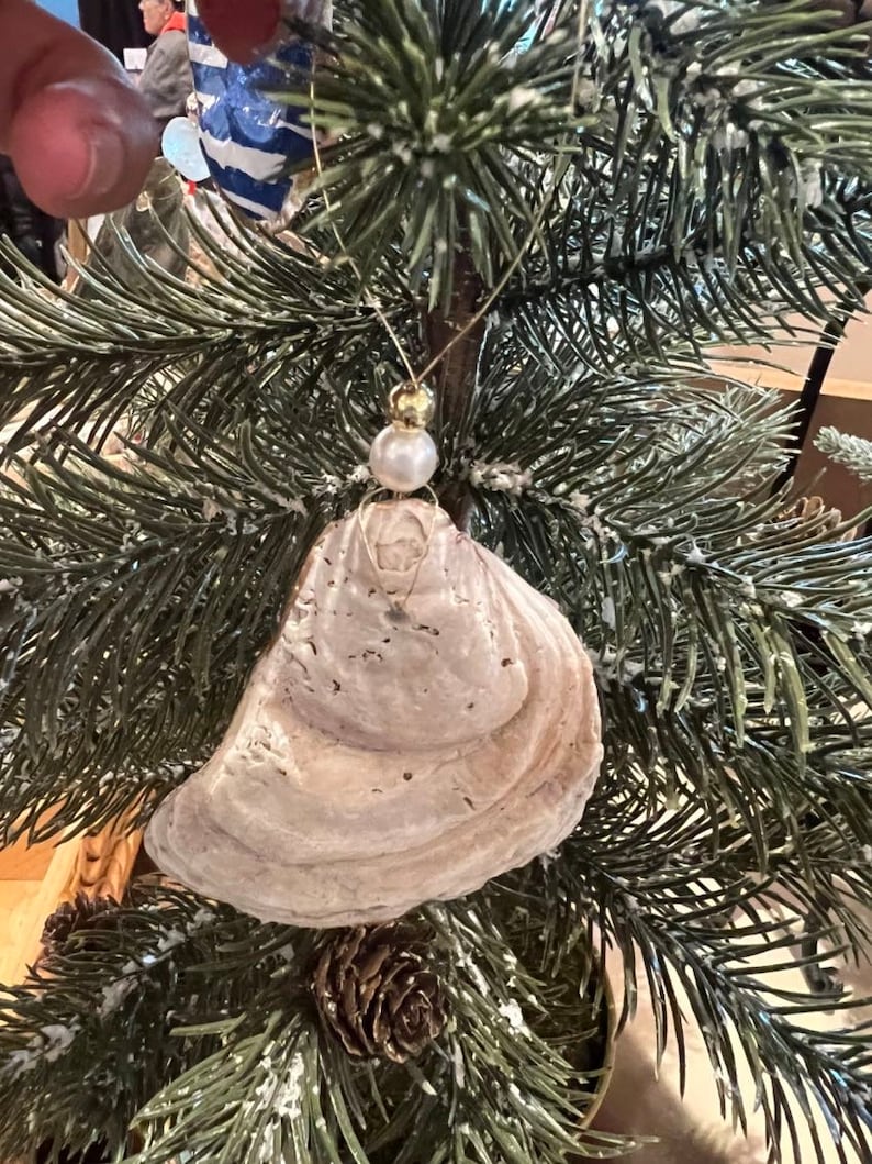 May include: A white, textured, shell-shaped Christmas ornament with a gold and pearl accent hanging on a snowy artificial pine tree.