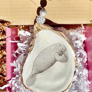 Manatee oyster shell Ornament. Manatee shell christmas ornament. Manatee Ornament. Coastal Christmas. Hostess gift. Wine charm