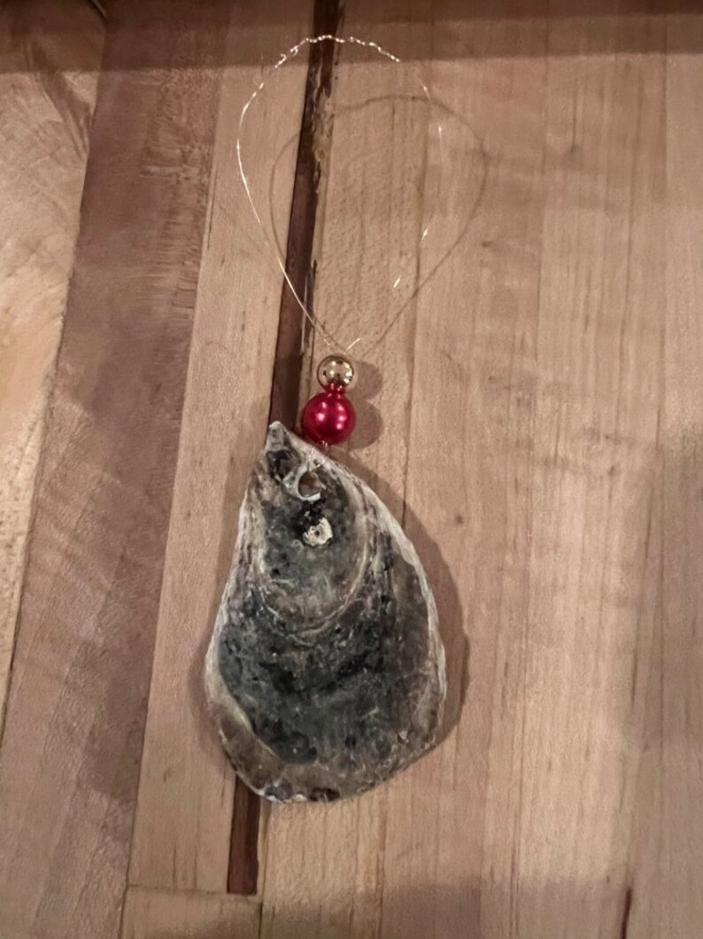 May include: A gray oyster shell ornament with a red and gold bead hanging from it. The ornament is hanging from a thin gold wire.