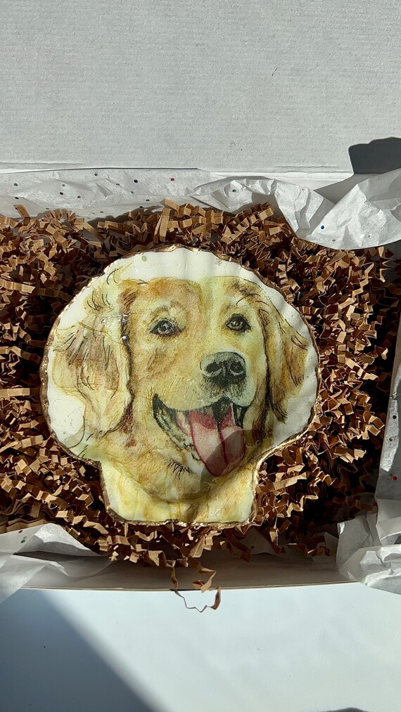 Golden Retriever Shell Dish. Decoupaged Shell Jewelry Dish. Dog Lover Trinket Dish. Salt and Pepper Cellar. Golden Retriever Trinket Dish. Etsy Canada