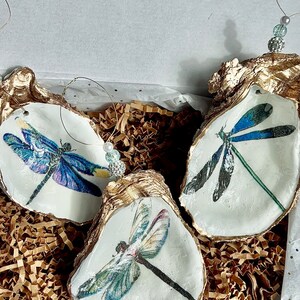 May include: Three oyster shell ornaments with gold trim, each featuring a different dragonfly design. The dragonflies are painted in shades of blue, green, and white.