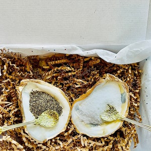 Oyster shell Salt and Pepper Cellar with gold spoons. Wedding or Bridal Party Favor. bridal party gift. Salt and Pepper pinch pots. Gift set