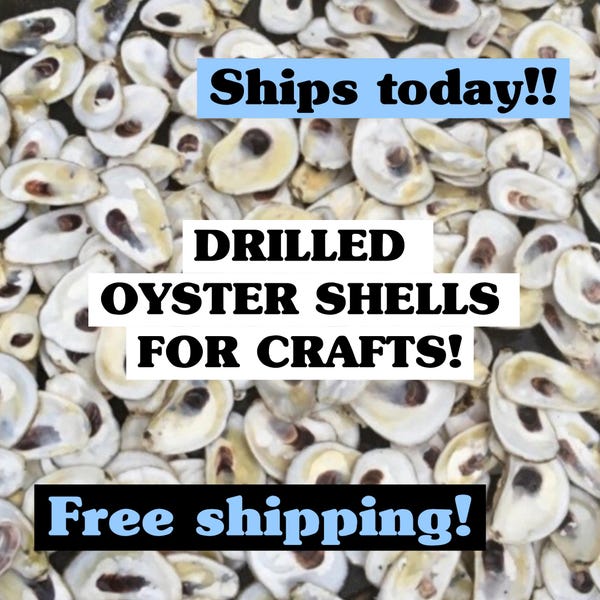 DRILLED OYSTER SHELLS|Christmas craft activity|Wedding craft|Shell ornament|Fall craft|Diy shell jewelry|Bridal Shower craft|decoupage shell