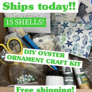 May include: A craft kit for making oyster ornaments. The kit includes 15 oyster shells, white and gold acrylic paint, string, beads, scissors, and two paintbrushes. The kit is packaged in a cardboard box with the text "Ships today!!" and "15 SHELLS!" on the front. The text "DIY OYSTER ORNAMENT CRAFT KIT" is also on the front of the box.