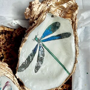 May include: A white oyster shell with a gold rim, featuring a blue and green dragonfly illustration. The shell is hanging from a gold wire with three beads.