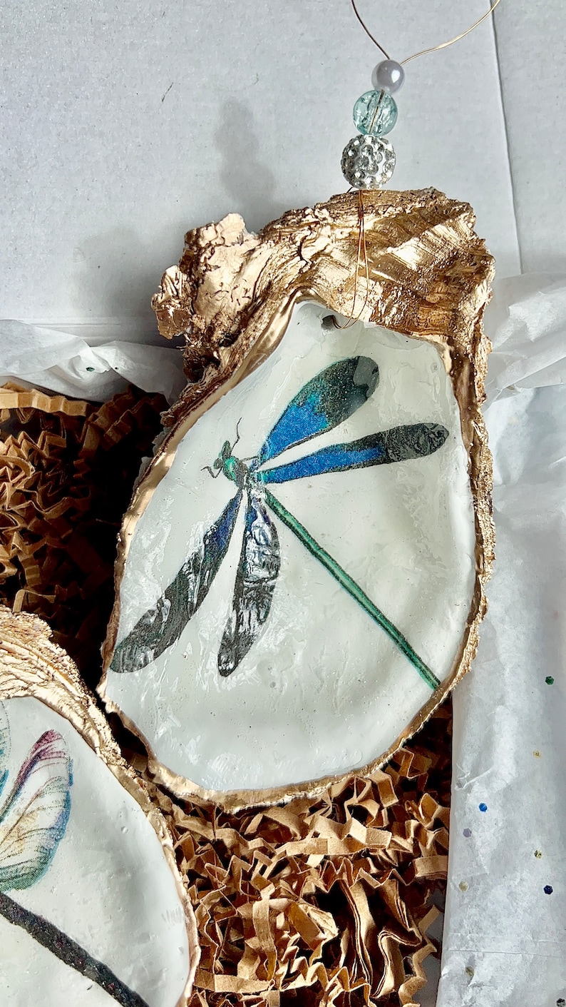 May include: A white oyster shell with a gold rim, featuring a blue and green dragonfly illustration. The shell is hanging from a gold wire with three beads.