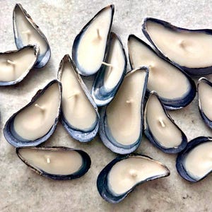 May include: A collection of mussel shell candles. Each shell is painted with a dark blue trim and filled with white wax. The candles are arranged on a light gray surface.