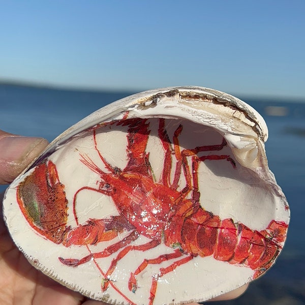 Maine college graduation gift idea shell jewelry tray. College grad party favor gift idea Maine lobster. Maine grad gift lobster shell dish