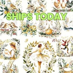 May include: A collage of watercolor illustrations featuring birds, chickens, geese, a ballerina, and a musician. The phrase "SHIPS TODAY" is in large green letters. The illustrations are framed by green and gold foliage.