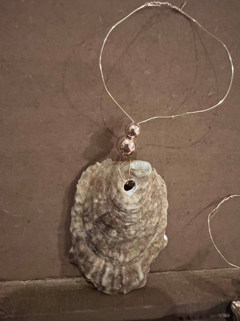 May include: A brown oyster shell with a hole in the center is attached to a gold wire with two gold beads. The oyster shell is hanging from a brown surface.