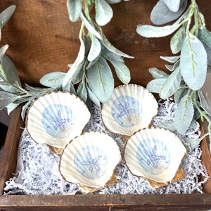 Könnte beinhalten: Vier weiße Muschelschalen mit goldenen Verzierungen, jede mit einem blauen und weißen bemalten Sanddollar-Design. Die Schalen werden in einer Holzkiste mit weißem zerknülltem Papier präsentiert.