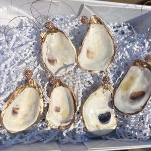 Gilded oyster shell Ornament. Gilded Glitzy Seashell christmas ornament. Oyster Ornament Gift Tag. Coastal Christmas golden oyster ornament