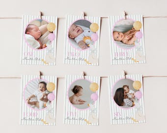 Editable one silly goose 1st birthday banner girl photo banner template silly goose first birthday monthly milestone 1 year pictures