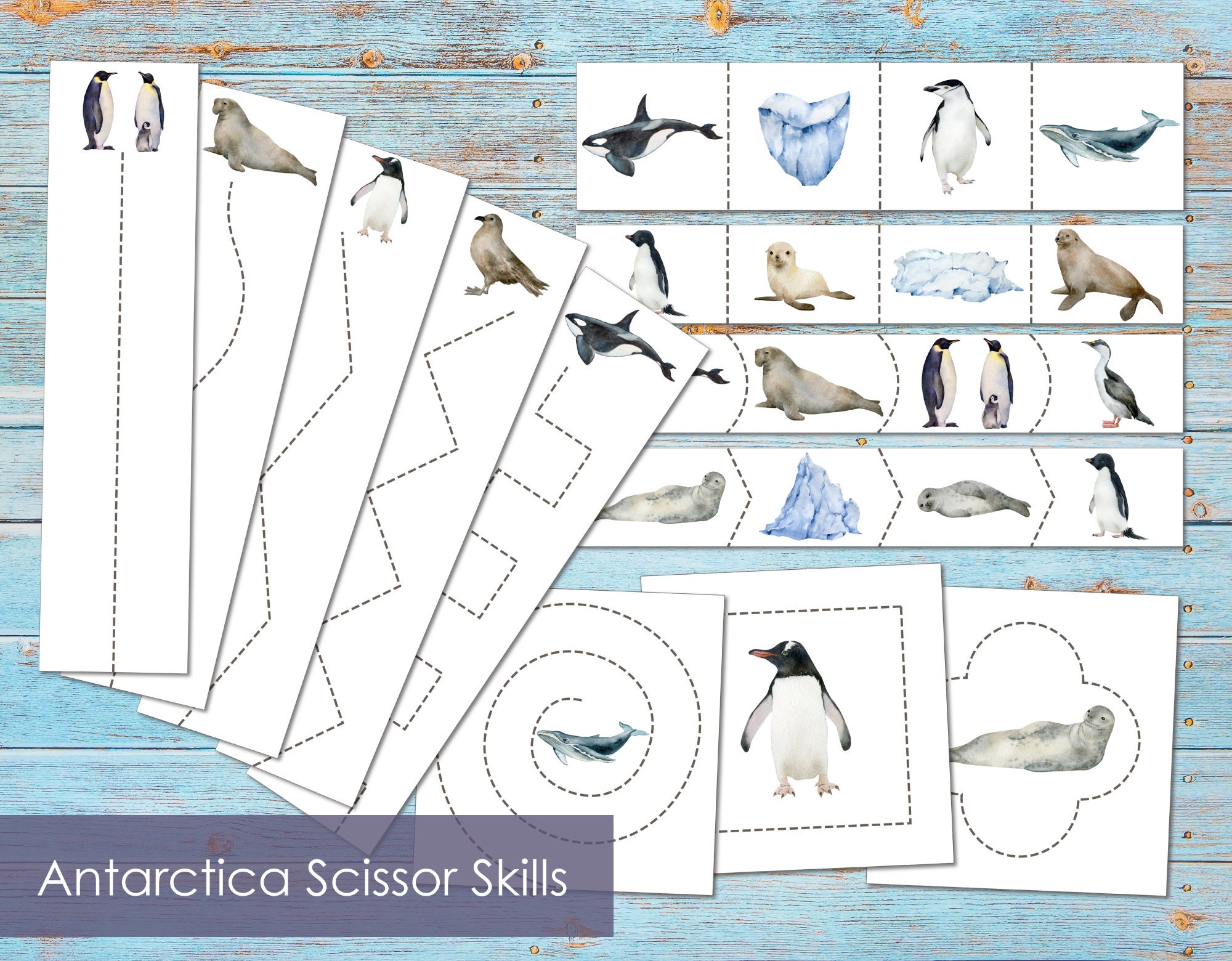 Antarctica Scissor Strips Bundle Cutting Strips Preschool - Etsy Antarctica Scissor Strips Bundle Cutting Strips Preschool - Etsy