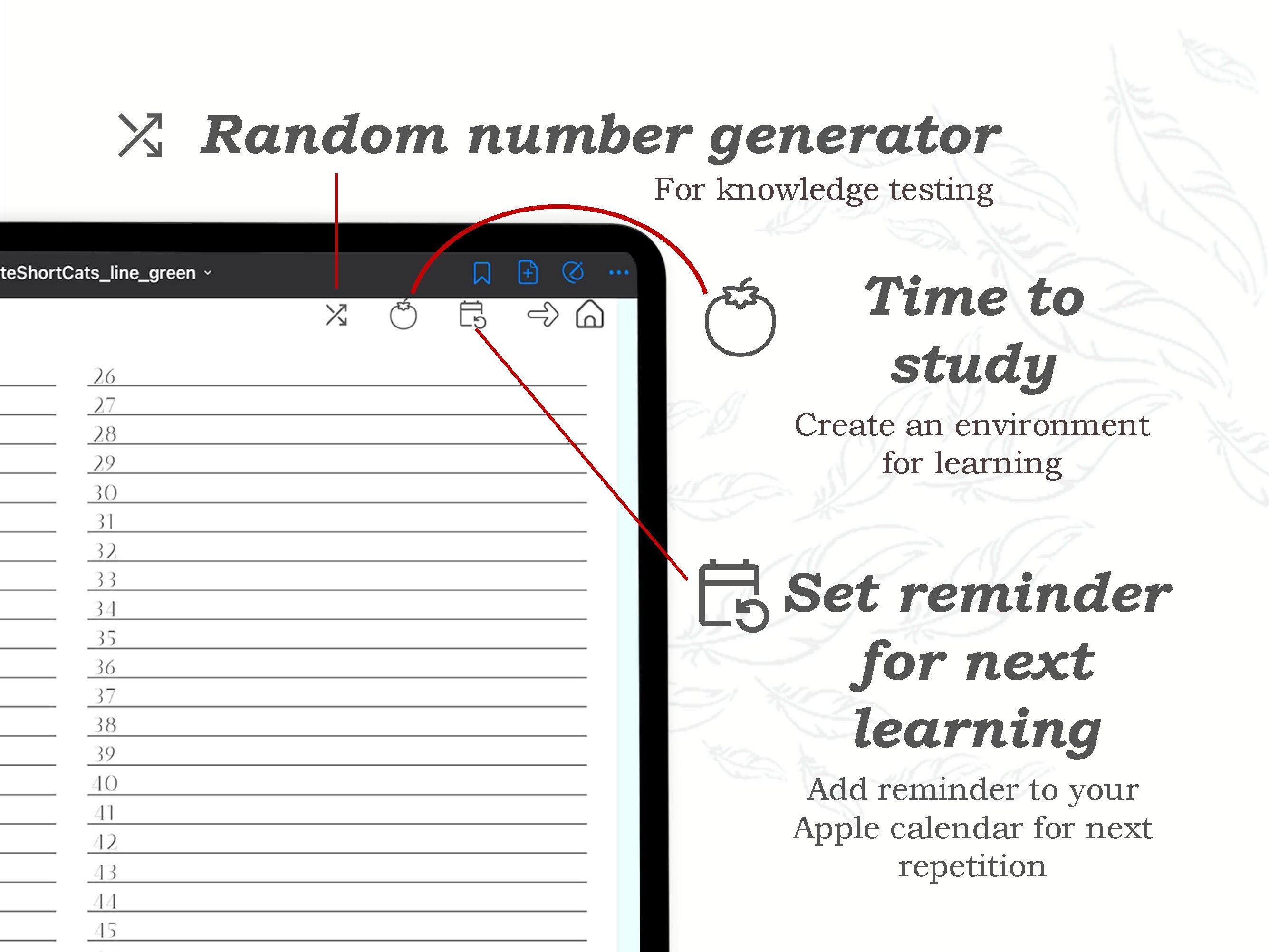 Digital Flashcards 800, 16 Sets Flash Cards Pdf for Learning Flashcards