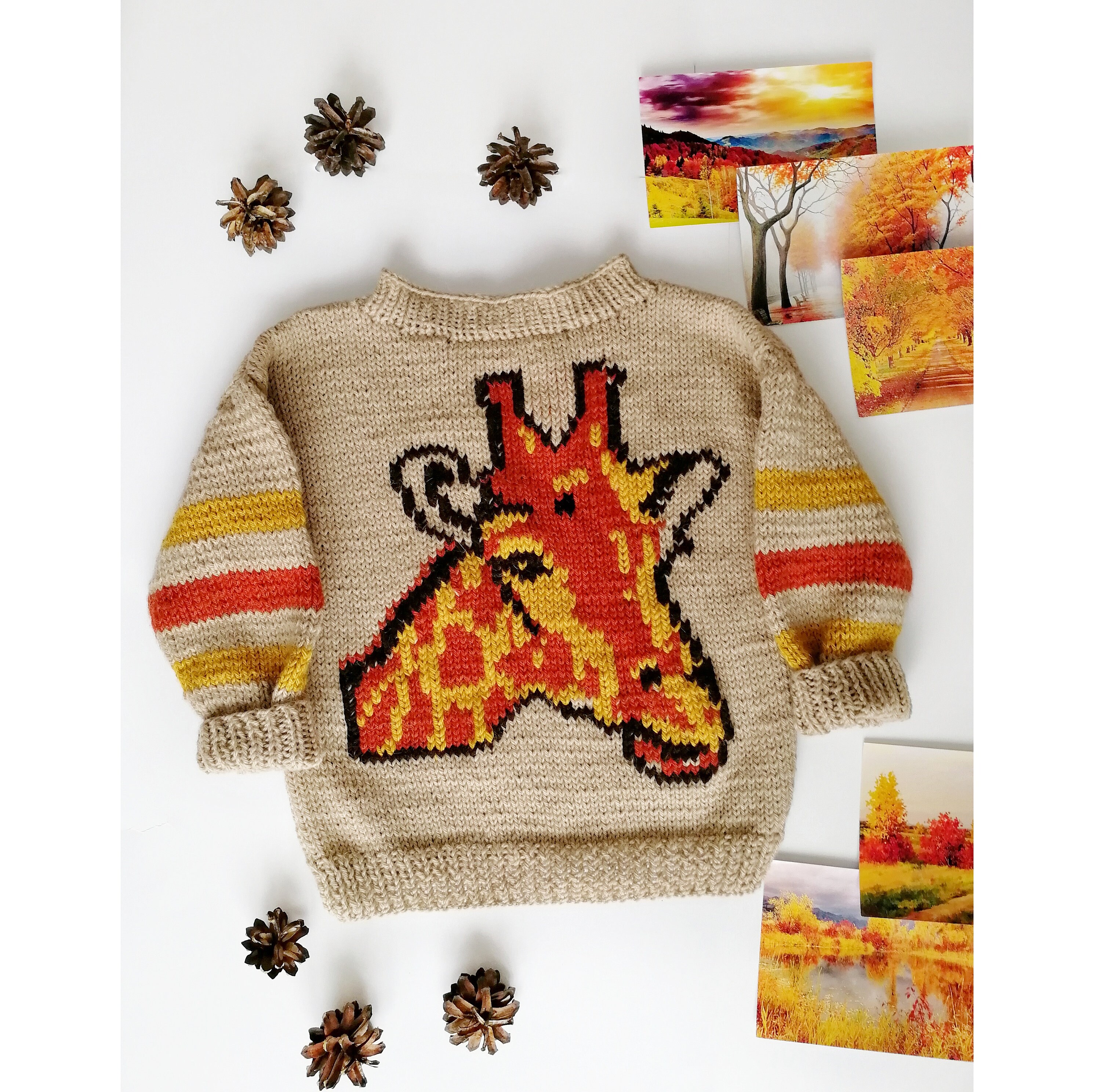 Giraffe Sweater Safari Birthday Infant Boy Clothes Hand Etsy