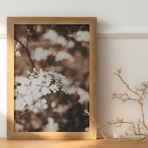 Wall Art Print, Digital ZIP Download High Quality JPG, Floral Wall Art, Photography Print, Nature Photography, Photo Poster