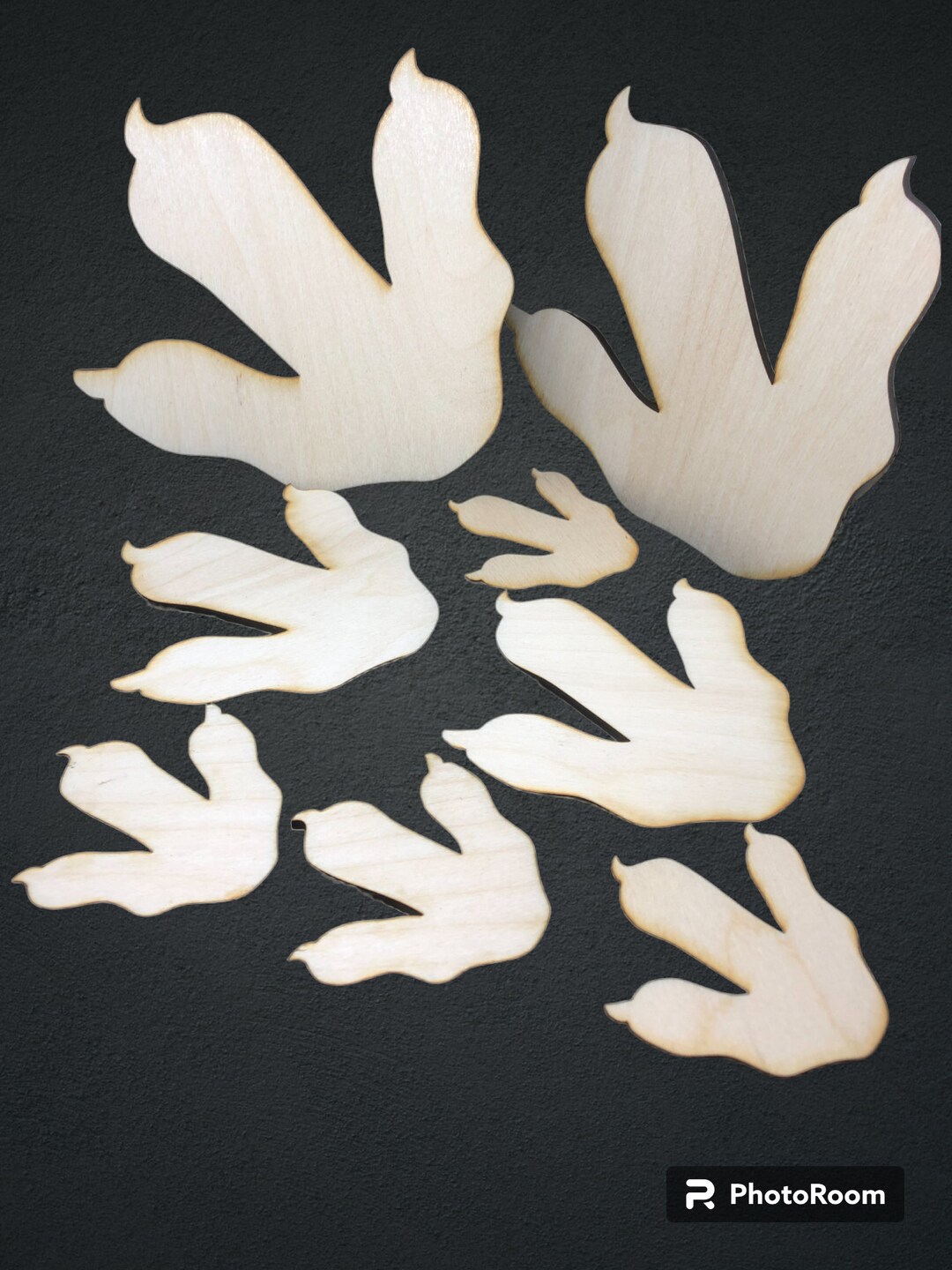 Wooden Dinosaur Footprints Wall Art Dinosaur Footprints Fossil Art 8