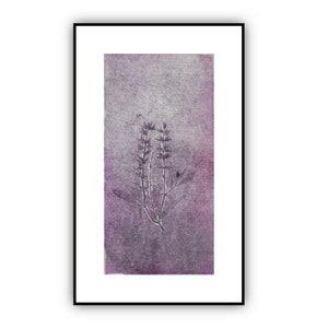 Könnte beinhalten: Ein gerahmter Druck einer botanischen Illustration einer lila Blume auf einem strukturierten Hintergrund.