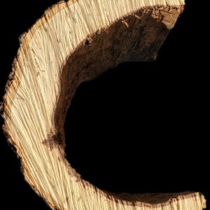 K&ouml;nnte beinhalten: Eine Nahaufnahme eines Querschnitts eines Baumstamms, die die Ringe und die Textur des Holzes zeigt. Das Holz ist hellbraun und hat eine raue, unebene Oberfl&auml;che.