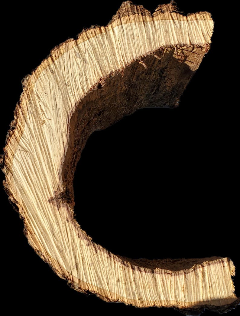 K&ouml;nnte beinhalten: Eine Nahaufnahme eines Querschnitts eines Baumstamms, die die Ringe und die Textur des Holzes zeigt. Das Holz ist hellbraun und hat eine raue, unebene Oberfl&auml;che.