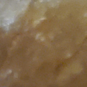 May include: Abstract close-up of a textured surface with a blend of light and dark brown tones. The surface has a mottled appearance with lighter, off-white patches scattered throughout, creating a natural, organic aesthetic.
