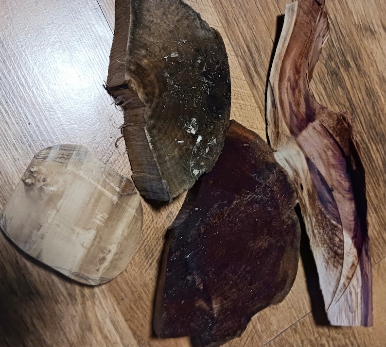 May include: Four pieces of wood with different colors and textures. One piece is light brown, one is dark brown, one is reddish-brown, and one is a dark purple-brown.