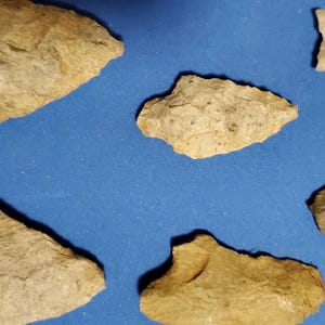 Pode incluir: Uma cole&ccedil;&atilde;o de ferramentas de pedra antigas, incluindo pontas de flecha e l&acirc;minas, em v&aacute;rios tamanhos e formas. As ferramentas s&atilde;o principalmente bege e cinza, com algumas pe&ccedil;as marrons mais escuras. Elas est&atilde;o dispostas em uma superf&iacute;cie azul.