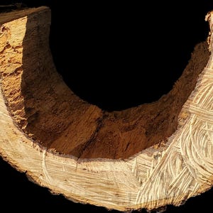 K&ouml;nnte beinhalten: Eine Nahaufnahme eines Querschnitts eines Baumstamms, die die komplizierten Maserungen und die Textur des Holzes zeigt. Das Holz ist hellbraun mit dunkleren braunen Streifen, die durch das Holz verlaufen. Das Innere des Stammes ist hohl und bildet eine einzigartige Form.