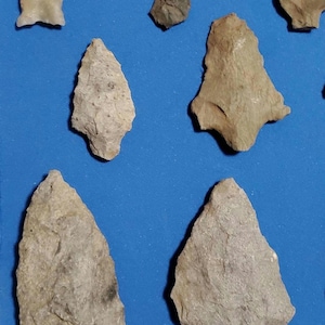 May include: Collection of ancient stone arrowheads in various shapes and sizes. The arrowheads are primarily shades of gray and tan, with rough, textured surfaces. They are arranged against a blue background, showcasing their historical significance.