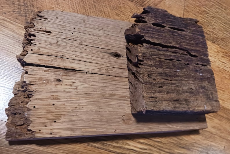 May include: Two pieces of weathered wood with a rough, uneven texture. The wood is a light brown color with dark brown spots and holes. The wood appears to be old and worn.
