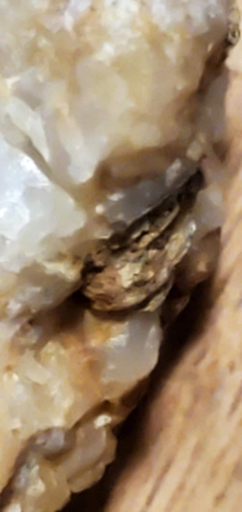 May include: Close-up of a rough, natural stone with a mix of colors. The stone has a creamy white base with areas of tan and brown, creating a textured appearance. The surface is uneven and appears to be a mineral specimen.