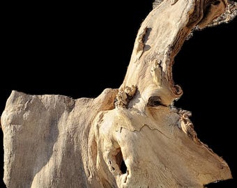 Moon and stand shaped burl wood
