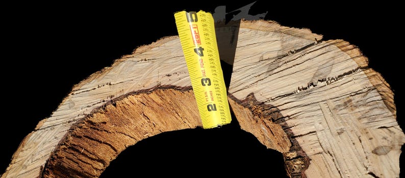 K&ouml;nnte beinhalten: Nahaufnahme eines gro&szlig;en, runden St&uuml;ckes Holz mit einem gelben Ma&szlig;band in der Mitte. Das Holz hat eine nat&uuml;rliche, raue Textur und eine hellbraune Farbe.