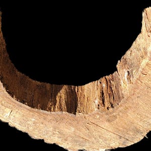 K&ouml;nnte beinhalten: Nahaufnahme eines gro&szlig;en, gebogenen Holzst&uuml;cks mit einer rauen, braunen Rindenstruktur. Das Holz hat ein nat&uuml;rliches, rustikales Aussehen und scheint ein Teil eines Baumstamms zu sein.
