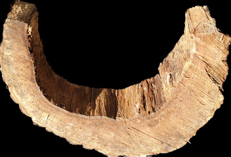 K&ouml;nnte beinhalten: Nahaufnahme eines gro&szlig;en, gebogenen Holzst&uuml;cks mit einer rauen, braunen Rindenstruktur. Das Holz hat ein nat&uuml;rliches, rustikales Aussehen und scheint ein Teil eines Baumstamms zu sein.