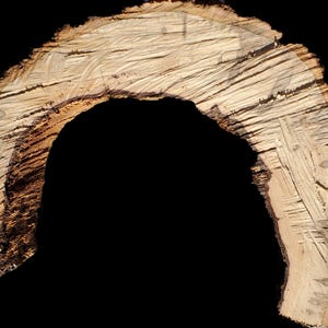 K&ouml;nnte beinhalten: Eine Nahaufnahme eines Querschnitts eines Baumstamms aus Holz, die die nat&uuml;rliche Maserung und Textur des Holzes zeigt. Der Stamm ist halbmondf&ouml;rmig, wobei die Rinde entfernt wurde, um die inneren Schichten des Holzes freizulegen.