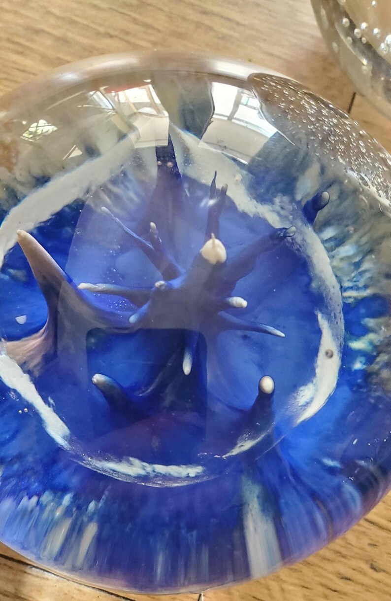 May include: A clear glass paperweight with a deep blue and white abstract design. The interior features a central, branching structure with white tips, encased in a swirling, ocean-like pattern. The overall effect is a captivating, artistic piece.