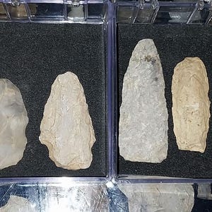May include: A collection of ten arrowheads, some with a light brown color and others with a gray color, displayed in two rows in a clear plastic case with a black foam background.
