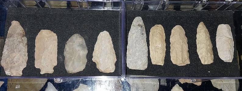 May include: A collection of ten arrowheads, some with a light brown color and others with a gray color, displayed in two rows in a clear plastic case with a black foam background.