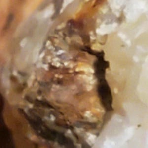 May include: Close-up of a natural mineral formation with a mix of colors. The image shows a combination of brown, tan, and white hues, with a textured surface. The mineral appears to be crystalline in structure.
