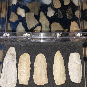 May include: Five light brown arrowheads are displayed in a clear plastic case with a black foam background. The arrowheads are arranged in a row, with the points facing the viewer.