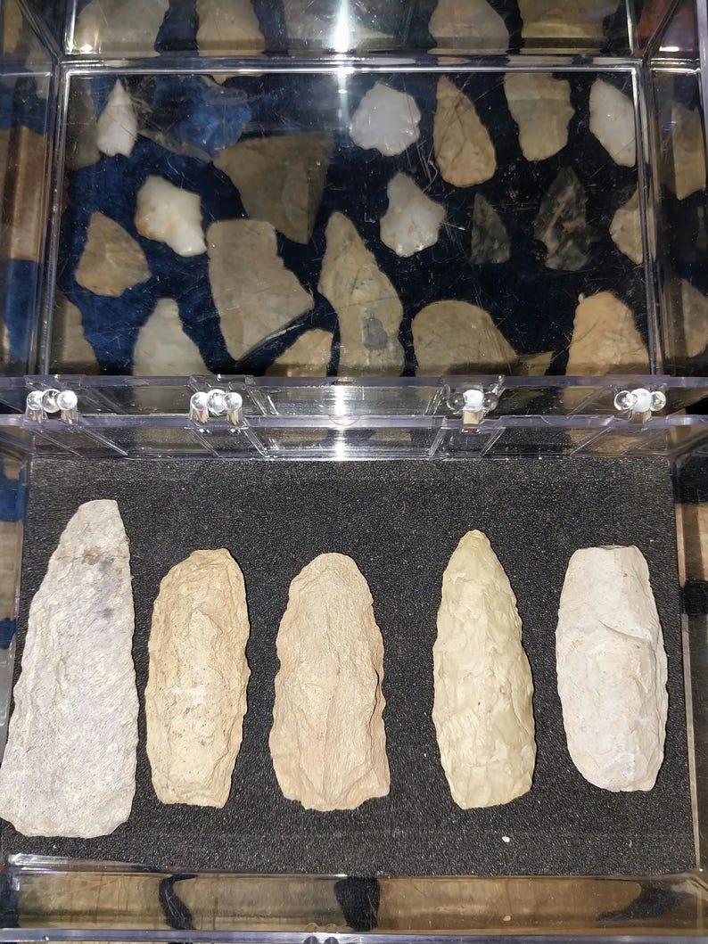 May include: Five light brown arrowheads are displayed in a clear plastic case with a black foam background. The arrowheads are arranged in a row, with the points facing the viewer.