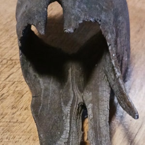 May include: A dark gray, weathered piece of driftwood with a large hole in the center and a long, thin branch extending from the side.